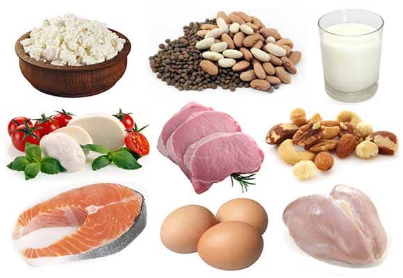 protein rich foods image
