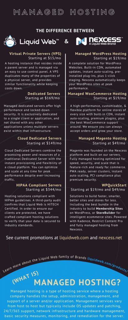 web hosting services infographic